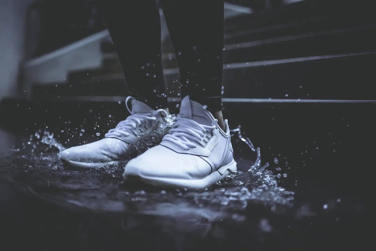 Baskets & Sneakers - CLUB VIP France
